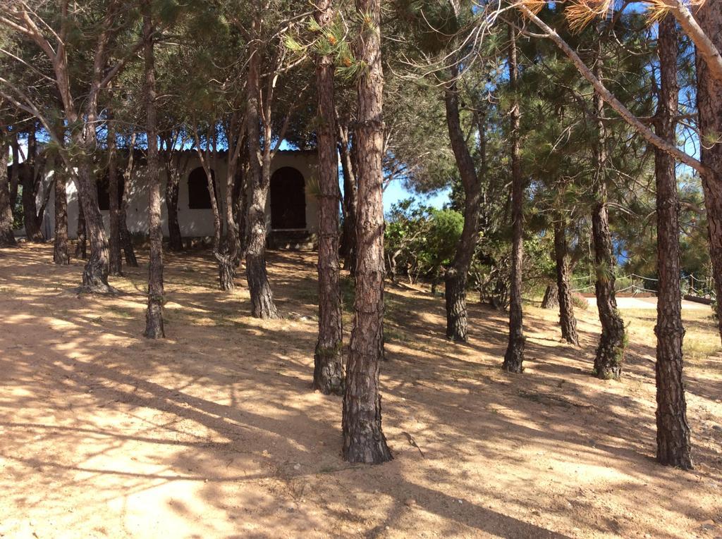 Chia Aloe & Cactus Villa Exterior photo